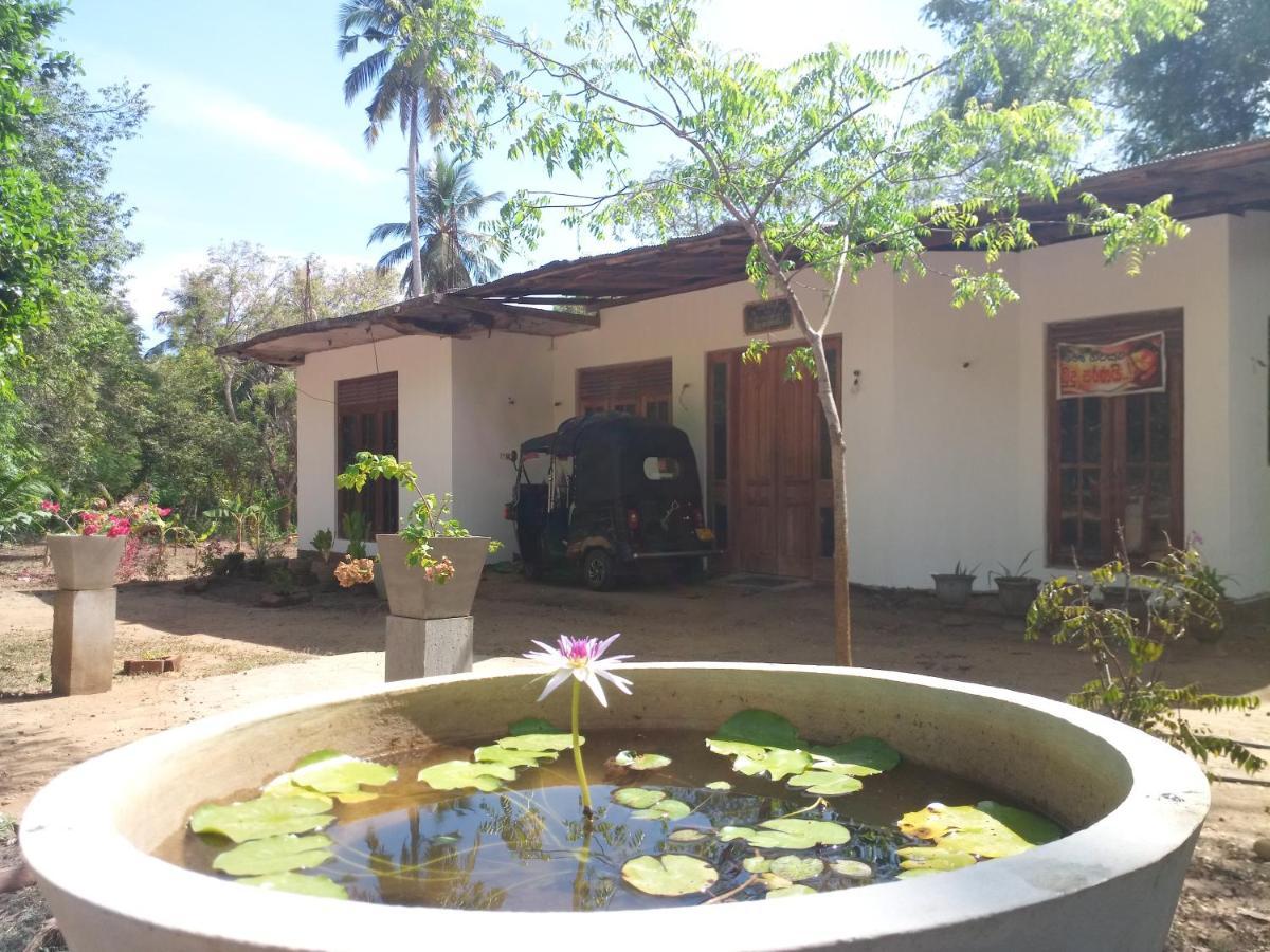 Silent Peacock Villa And Peacock Cafe Tangalle Ngoại thất bức ảnh