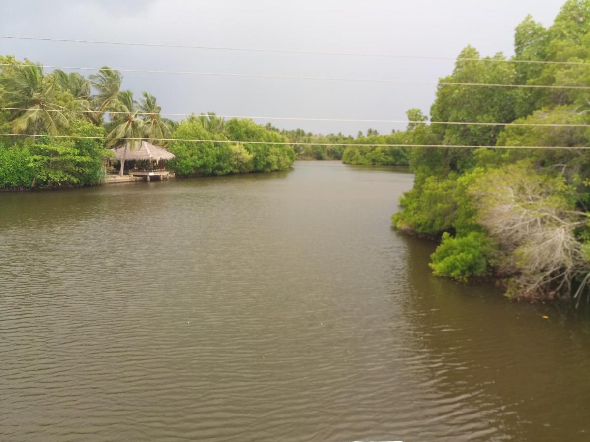 Silent Peacock Villa And Peacock Cafe Tangalle Ngoại thất bức ảnh